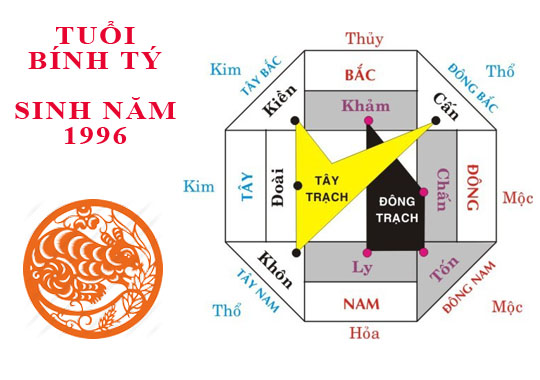 tuoi-binh-ty-hop-huong-nao